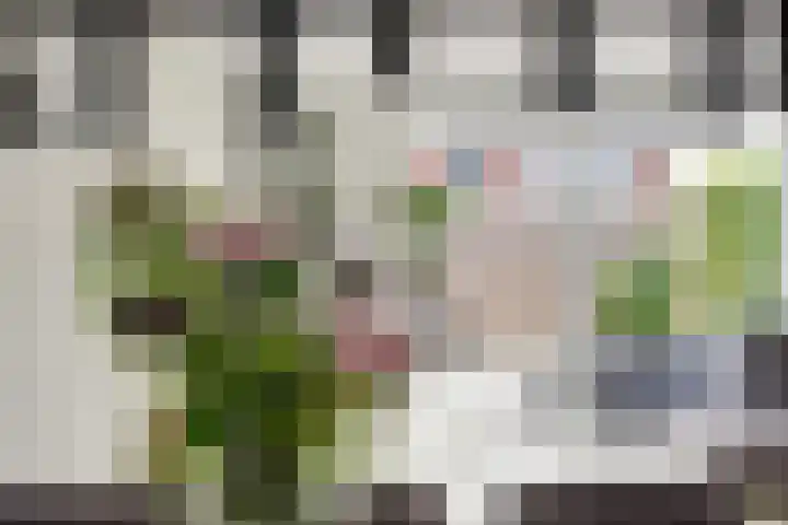 Piet Kramerzoom 49 Bergschenhoek thumbnail 14