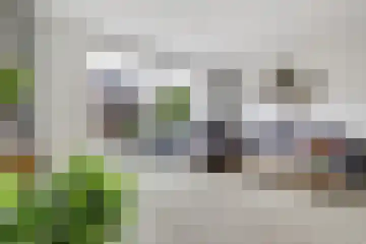 Piet Kramerzoom 49 Bergschenhoek thumbnail 15