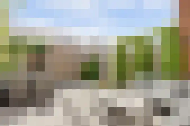 Piet Kramerzoom 49 Bergschenhoek thumbnail 16