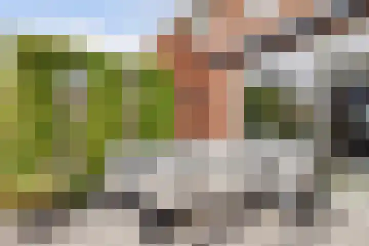 Piet Kramerzoom 49 Bergschenhoek thumbnail 17