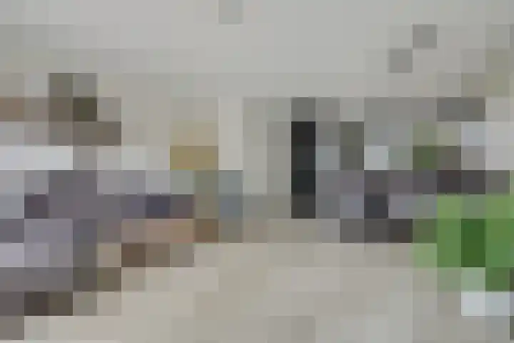 Piet Kramerzoom 49 Bergschenhoek thumbnail 20