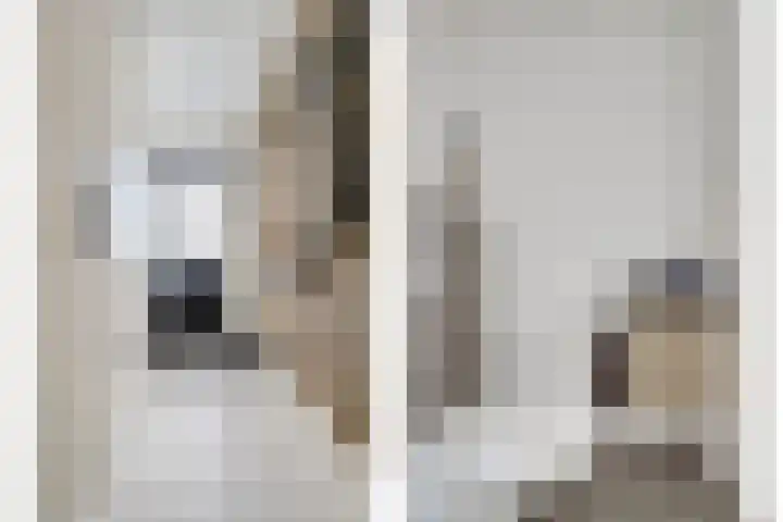 Piet Kramerzoom 49 Bergschenhoek thumbnail 21
