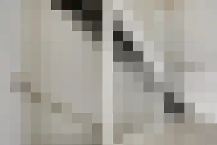 Piet Kramerzoom 49 Bergschenhoek thumbnail 22