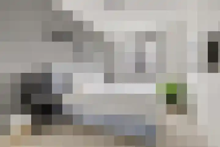 Piet Kramerzoom 49 Bergschenhoek thumbnail 23
