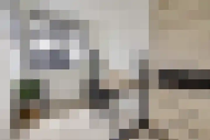 Piet Kramerzoom 49 Bergschenhoek thumbnail 25