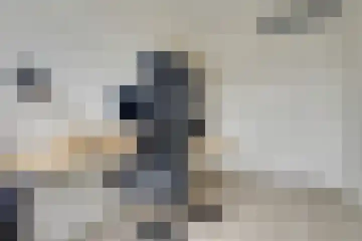 Piet Kramerzoom 49 Bergschenhoek thumbnail 26