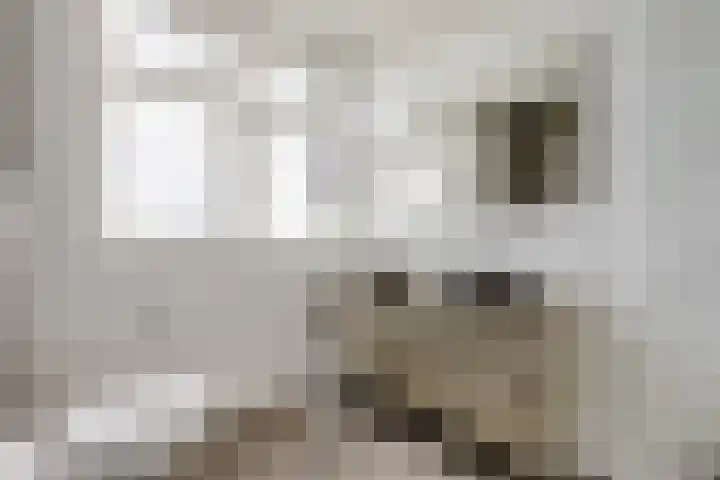 Piet Kramerzoom 49 Bergschenhoek thumbnail 27
