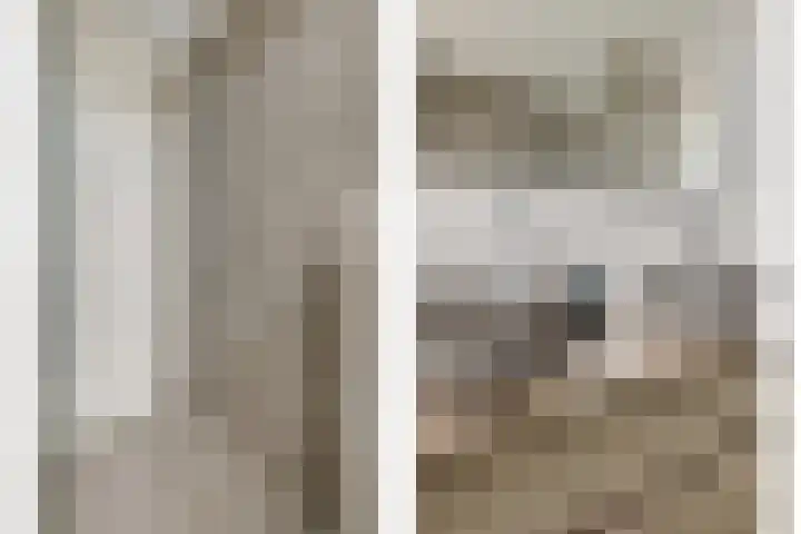 Piet Kramerzoom 49 Bergschenhoek thumbnail 29