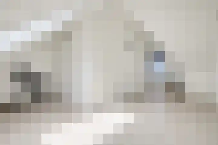 Piet Kramerzoom 49 Bergschenhoek thumbnail 33