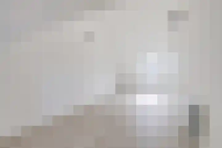 Piet Kramerzoom 49 Bergschenhoek thumbnail 34