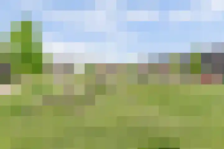 Piet Kramerzoom 49 Bergschenhoek thumbnail 35