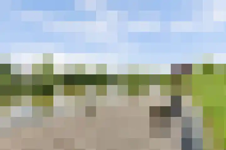 Piet Kramerzoom 49 Bergschenhoek thumbnail 36