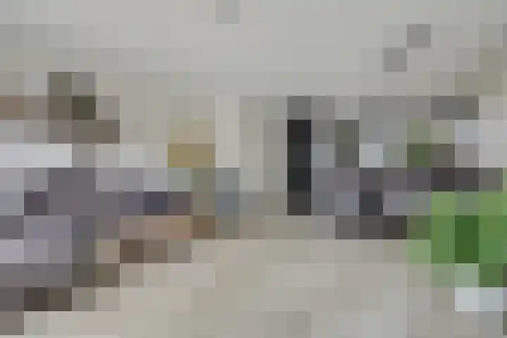Piet Kramerzoom 49 Bergschenhoek thumbnail 7