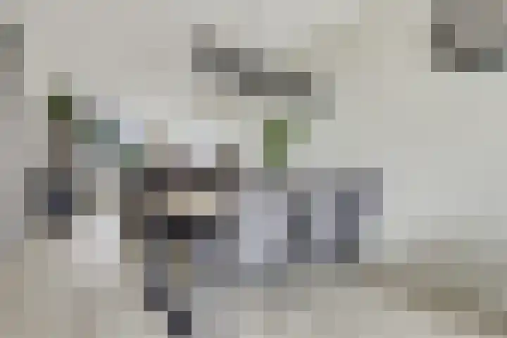 Piet Kramerzoom 49 Bergschenhoek thumbnail 8