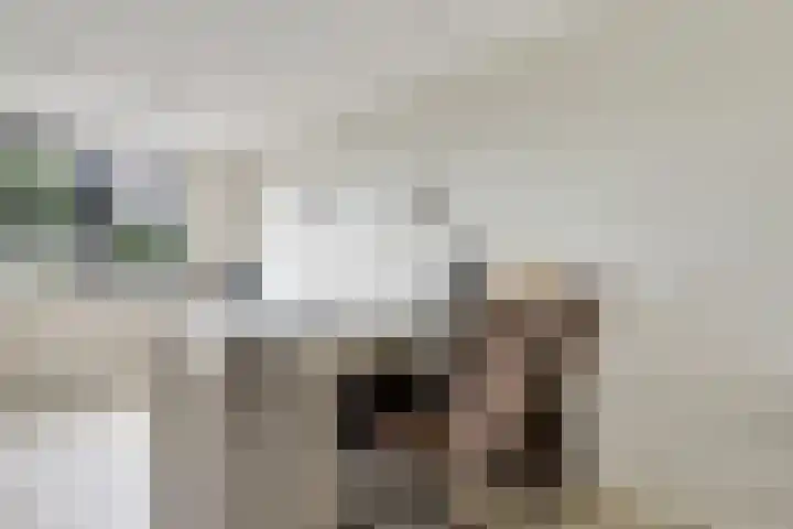 Piet Kramerzoom 49 Bergschenhoek thumbnail 9
