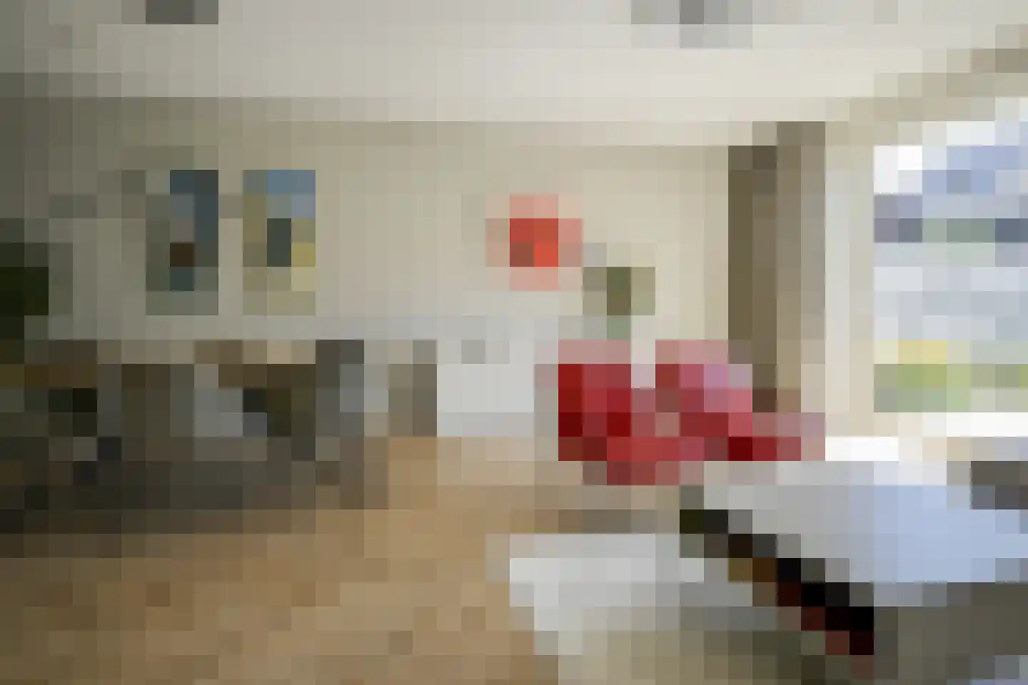 Piet Kramerzoom 59 Bergschenhoek thumbnail 14