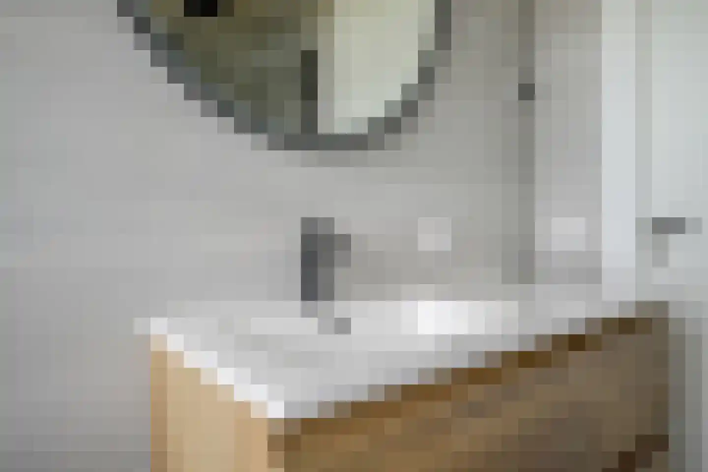 Piet Kramerzoom 59 Bergschenhoek thumbnail 27