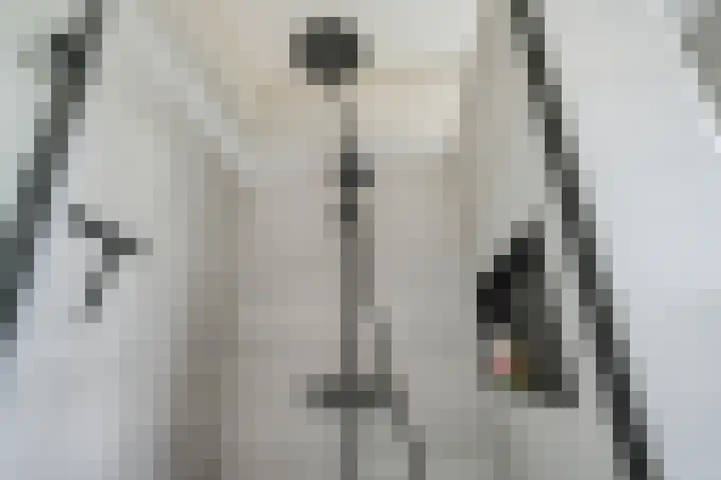 Piet Kramerzoom 59 Bergschenhoek thumbnail 30