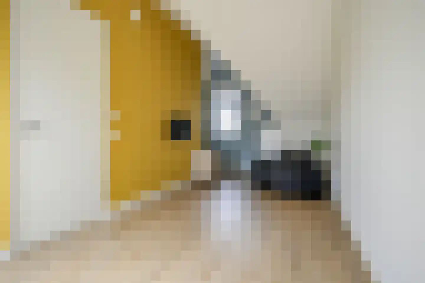 Piet Kramerzoom 59 Bergschenhoek thumbnail 36