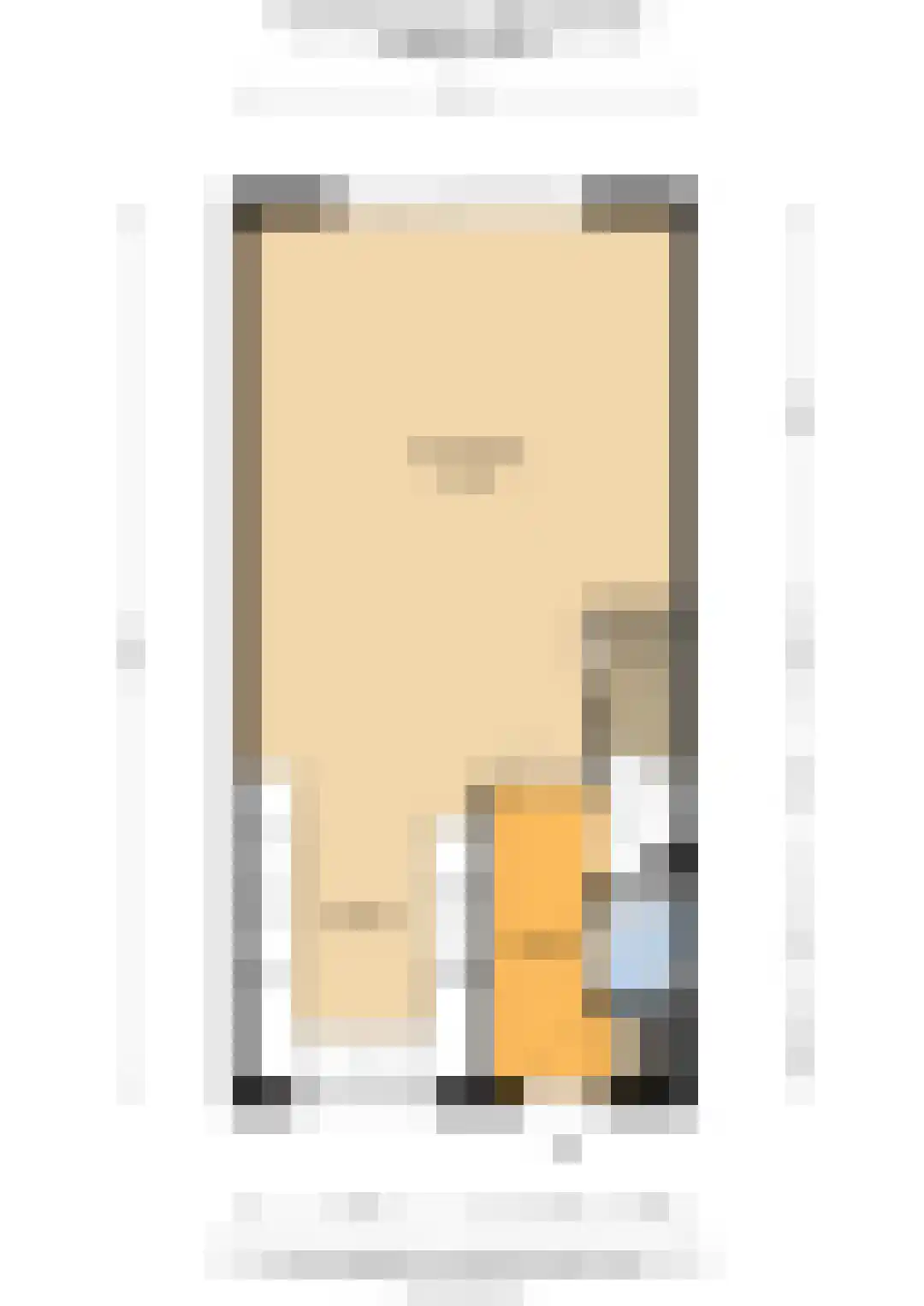 Piet Kramerzoom 59 Bergschenhoek thumbnail 48