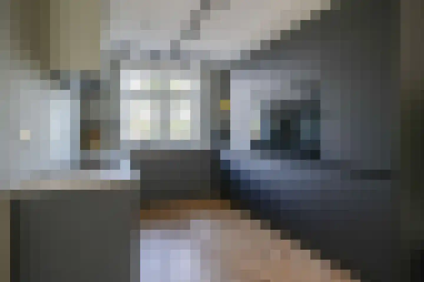 Piet Kramerzoom 59 Bergschenhoek thumbnail 8