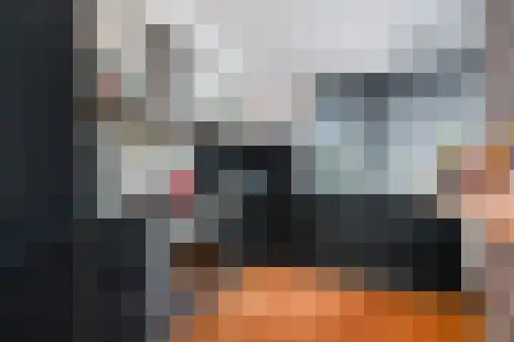 Piet Krollaan 12 Den Haag thumbnail 11