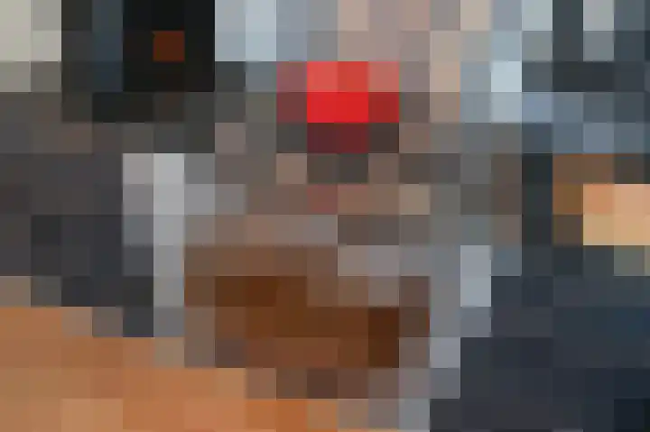 Piet Krollaan 12 Den Haag thumbnail 12
