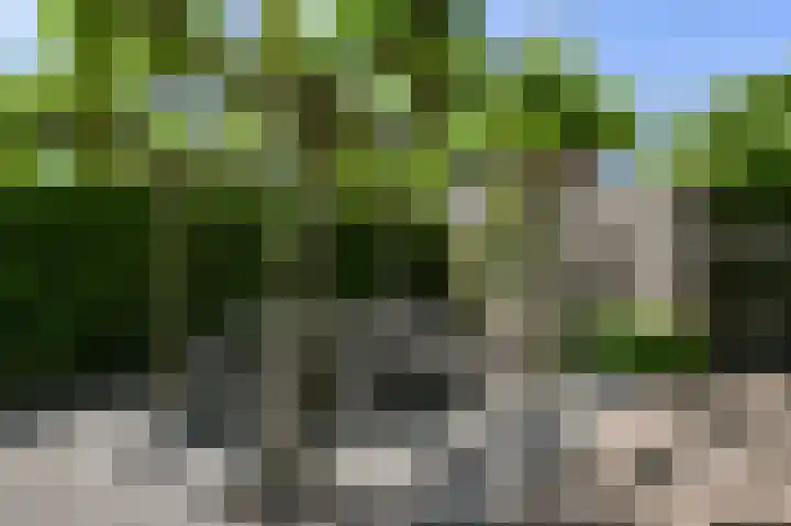 Piet Krollaan 12 Den Haag thumbnail 16