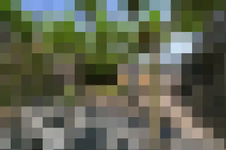 Piet Krollaan 12 Den Haag thumbnail 18