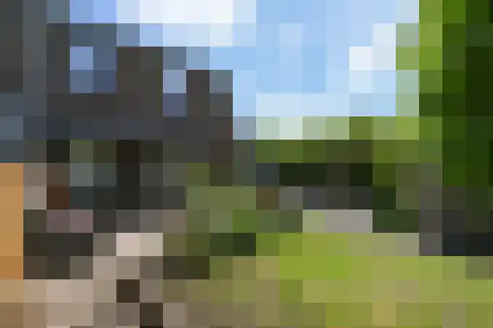 Piet Krollaan 12 Den Haag thumbnail 19