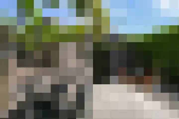 Piet Krollaan 12 Den Haag thumbnail 22