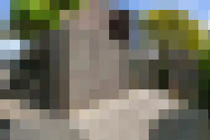 Piet Krollaan 12 Den Haag thumbnail 24