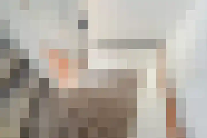 Piet Krollaan 12 Den Haag thumbnail 25