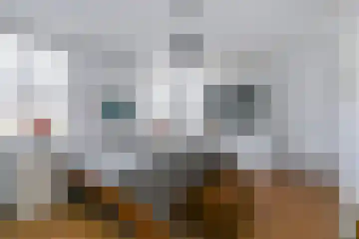 Piet Krollaan 12 Den Haag thumbnail 30