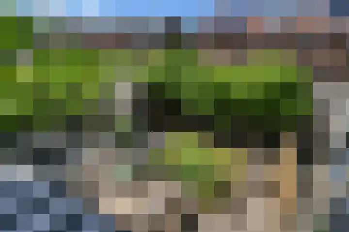 Piet Krollaan 12 Den Haag thumbnail 31