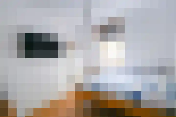Piet Krollaan 12 Den Haag thumbnail 32