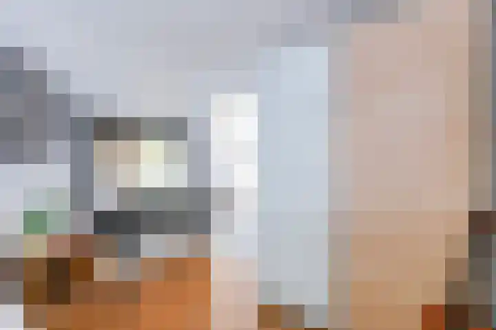 Piet Krollaan 12 Den Haag thumbnail 34