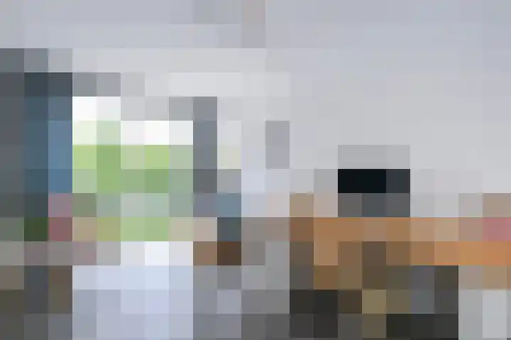 Piet Krollaan 12 Den Haag thumbnail 35