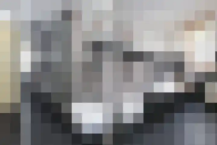 Piet Krollaan 12 Den Haag thumbnail 40