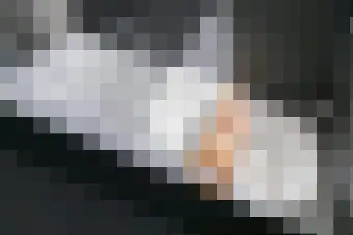 Piet Krollaan 12 Den Haag thumbnail 41