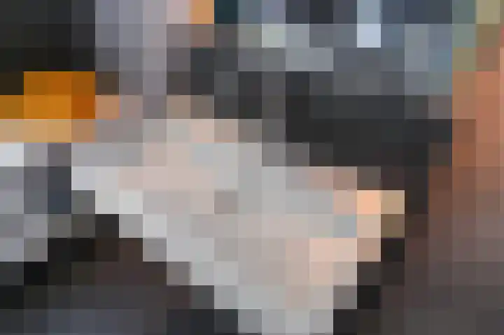 Piet Krollaan 12 Den Haag thumbnail 42