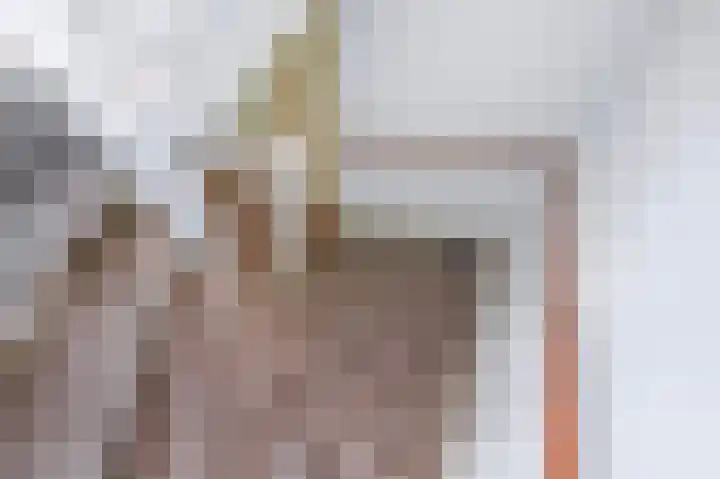 Piet Krollaan 12 Den Haag thumbnail 44