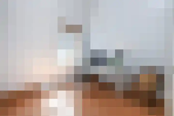 Piet Krollaan 12 Den Haag thumbnail 45