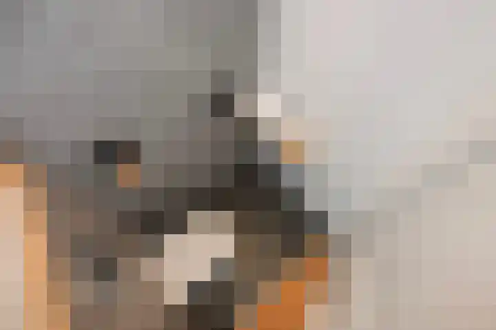 Piet Krollaan 12 Den Haag thumbnail 51