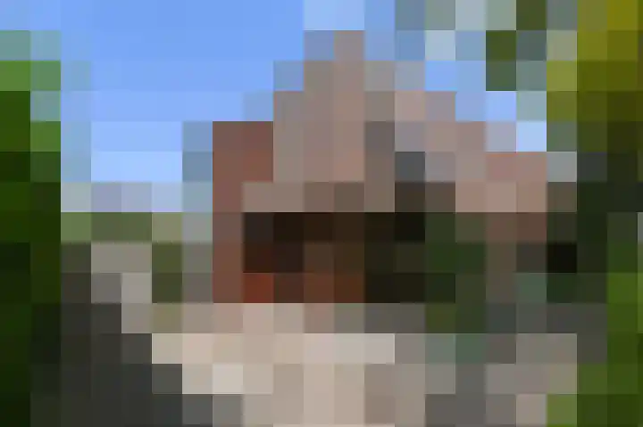 Piet Krollaan 12 Den Haag thumbnail 54