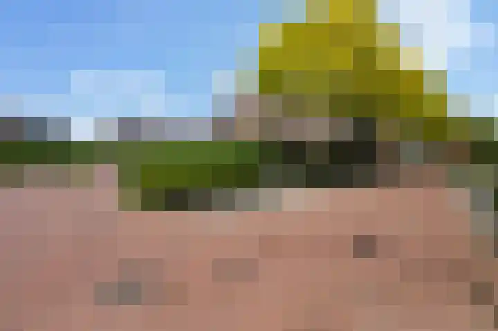 Piet Krollaan 12 Den Haag thumbnail 55