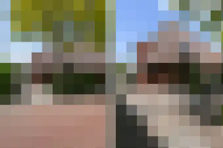 Piet Krollaan 12 Den Haag thumbnail 56