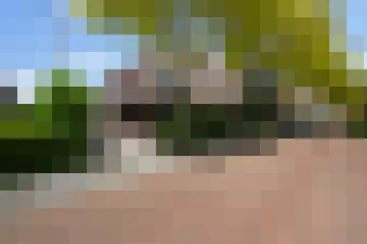 Piet Krollaan 12 Den Haag thumbnail 57