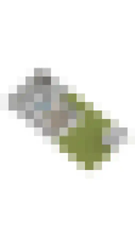 Piet Krollaan 12 Den Haag thumbnail 65