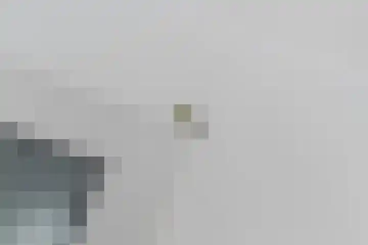 Piet Krollaan 12 Den Haag thumbnail 8